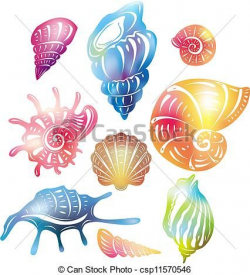 Seashell Clip Art Vector Graphics. 4,417 Seashell EPS ...