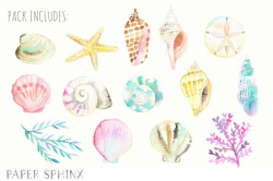 Watercolor Seashells Clipart - Nautical Watercolor Clip Art ...