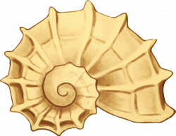 Clipart - Sea shell 42