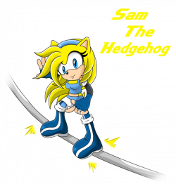 Image - Samantha the hedgehog secret by dickgraysonsgirl-d35cms9.png ...