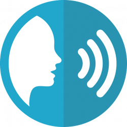 The New SEO for Personal Brands – Voice Search Results - Personal ...