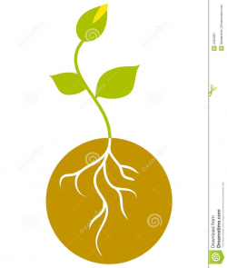 Seedling And Roots Clipart