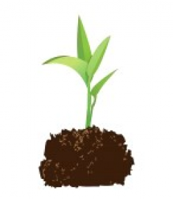 of a seedling with soil. | Clipart Panda - Free Clipart Images