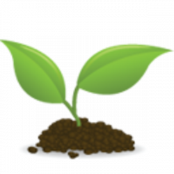 Icon Seedling | Free Images at Clker.com - vector clip art online ...