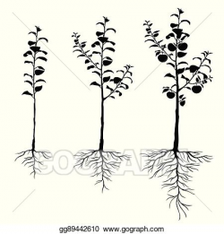 Vector Illustration - Seedling apple trees with roots set ...