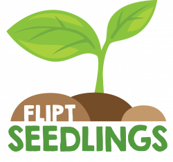 Seedlings – Flipside Church