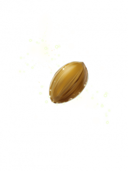 PNG Of A Seed Transparent Of A Seed.PNG Images. | PlusPNG