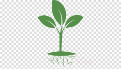 Family Tree Background clipart - Plants, Illustration, Plant ...