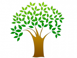 Free Clipart Tree Seedlings