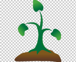 Seedling Sprouting Tree PNG, Clipart, Clip Art, Flora, Free ...