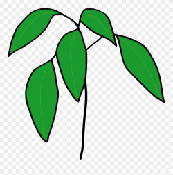 Seedling Clipart - Png Download (#2949387) - PinClipart