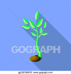 Vector Art - Plant growth. little green sprout seedling ...