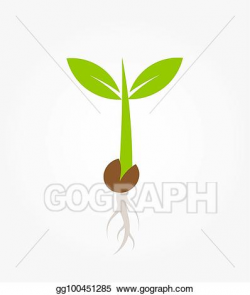 Clip Art Vector - Little green plant seedling germinating ...