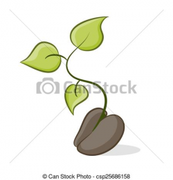 Seed growing clipart 3 » Clipart Station