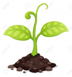 Seed Growing Images, Stock Pictures, Royalty Free Seed ...