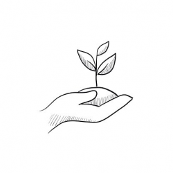 Hands Holding Seedling IN Soil Sketch premium clipart ...