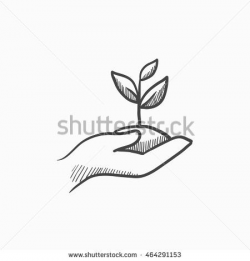 Hands holding seedling in soil vector sketch icon isolated ...