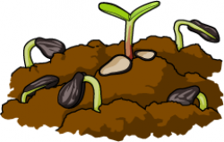 Seed Clipart | Clipart Panda - Free Clipart Images