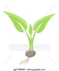Clip Art Vector - Plant seedling. Stock EPS gg77486081 - GoGraph