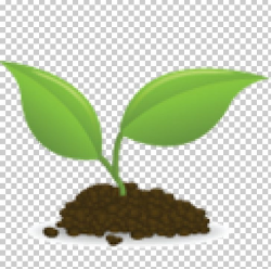 Seedling Sprouting PNG, Clipart, Baza, Clip Art, Computer ...