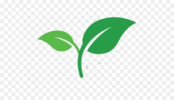 Green Leaf Logo png download - 512*512 - Free Transparent ...