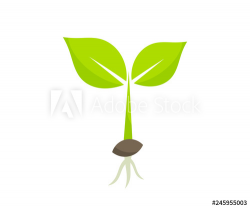 Little germinating plant from seed seedling icon. - Buy this ...