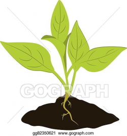 EPS Vector - Plant seedling icon. Stock Clipart Illustration ...