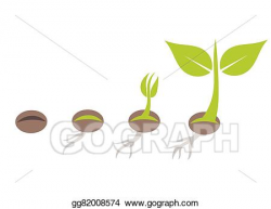Vector Art - Plant germination. Clipart Drawing gg82008574 ...
