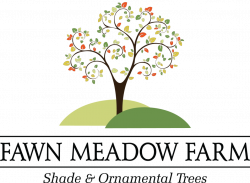 Fawn Meadow Farm