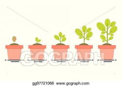 Vector Illustration - Plant growing stages. EPS Clipart ...
