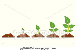 Vector Clipart - The phases of plant growth. Vector ...
