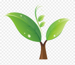 Seedling Tree Clip Art - Portable Network Graphics - Png ...