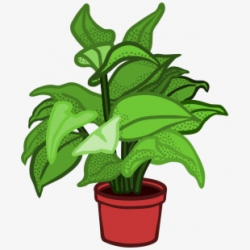Potted Plants Clipart Transparent Background - Cartoon ...