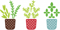 Free Image on Pixabay - Herb, Pot, Plant, Grow, Garden | Pinterest