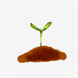 Spring Sprouting Seedlings Illustration Green Spring ...