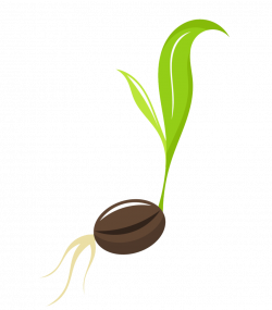 Seed sprout clipart clipart images gallery for free download ...