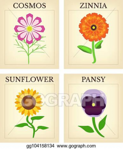 EPS Vector - Flower seed packets. Stock Clipart Illustration ...
