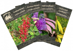 Seed packets - Roundstone Native Seed Company