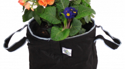fabric pots Archives - Fabric Pots & Air Pruning Pots for Growers ...