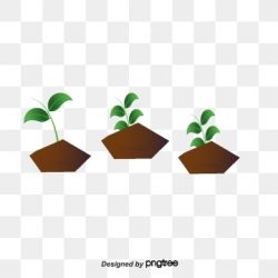 Seedling Png, Vector, PSD, and Clipart With Transparent ...