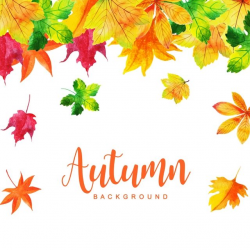 Beautiful Watercolor Autumn Leaves Background, Watercolor ...
