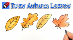 How to draw Autumn or Fall Leaves Real Easy