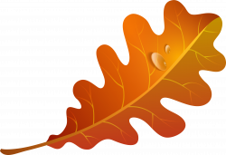 HD Foliage Clipart Orange Leaf - Orange Fall Leaves Clip Art ...