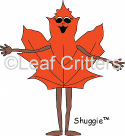 The Maple Leaf | What Does a Maple Leaf Look Like? - Leaf Critters ...