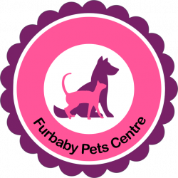 SIMBAE – Long Hair Shampoo – Furbaby Pets Centre