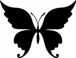Butterfly Beautiful Shape Svg Png Icon Free Download (#74581 ...