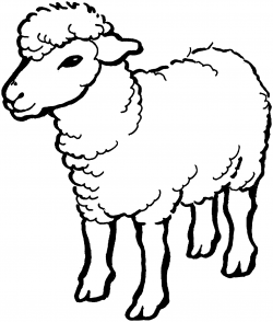 sheep coloring page | Only Coloring Pages | Farm animal ...