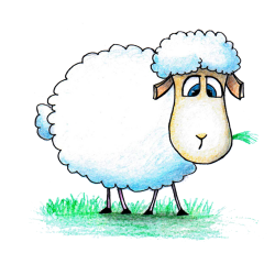 Sheep Paper Goat Eid al-Adha Drawing - sheep 3000*3000 transprent ...