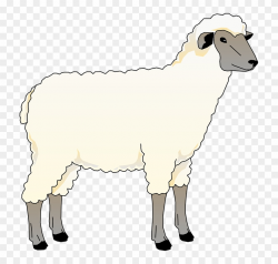 Farm Animals Sheep Clipart - Free Transparent PNG Clipart ...