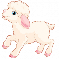 Download Free png Funny Sheep - Farm Animal Images | animals ...